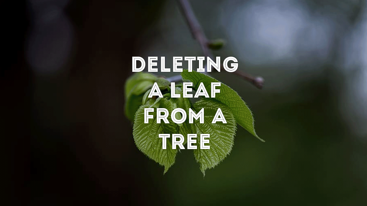 Deleting a Leaf From a Tree Visually Explained
